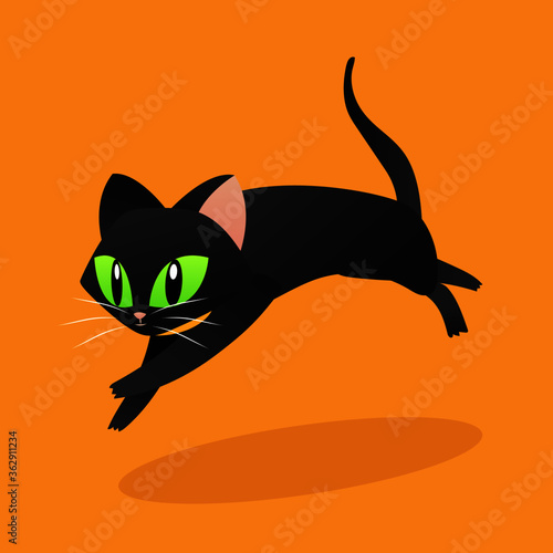 run cat, gato corriendo