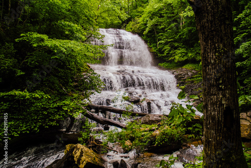 waterfall in the forest