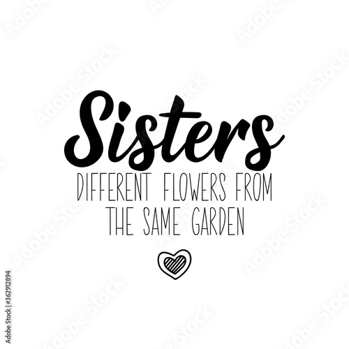 Sisters different flowers from the same garden. Vector illustration. Lettering. Ink illustration.