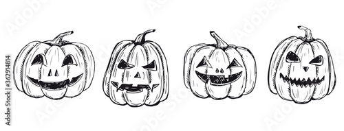 Halloween pumpkins set. Hand drawn illustration.	
