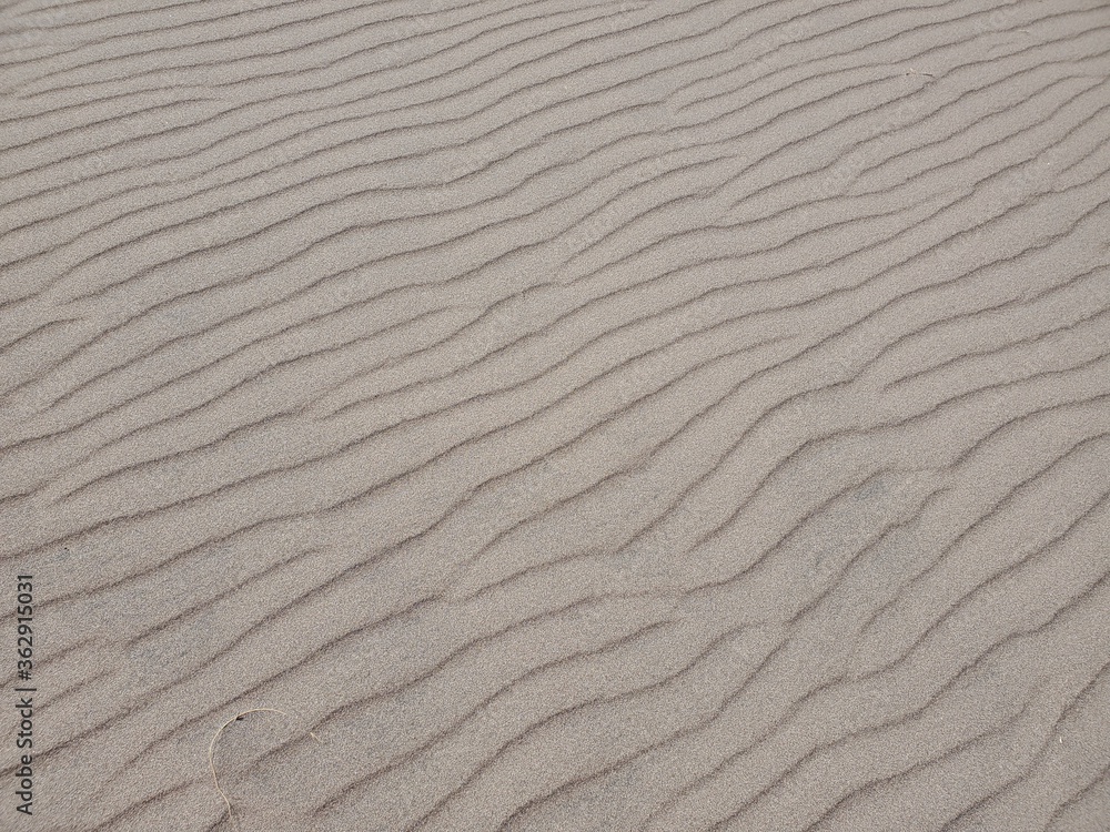 Sand Dune texture in southern Colorado Sand Dune texture in southern Colorado