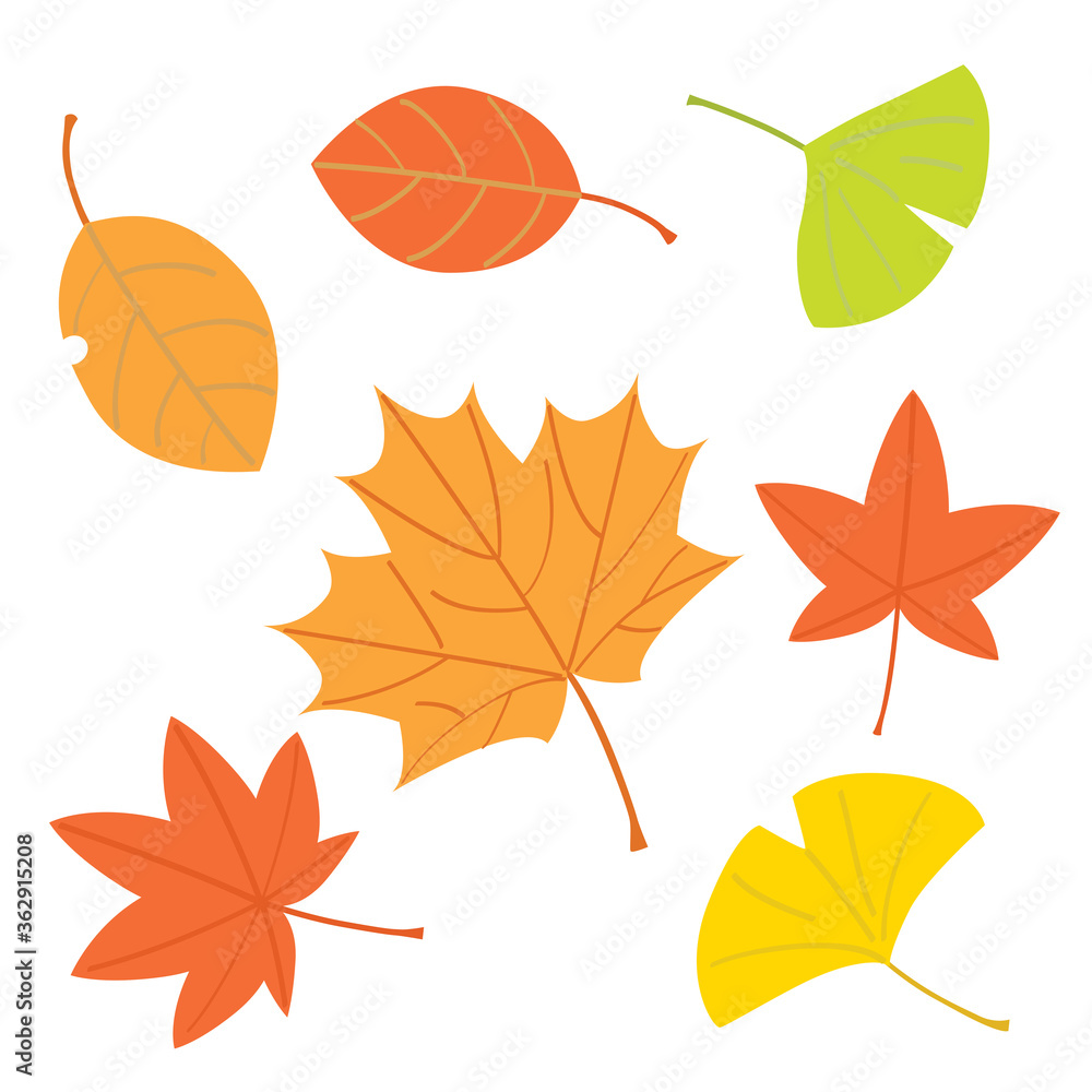 紅葉や楓やイチョウの落葉セット 紅葉や楓やイチョウの落葉セット