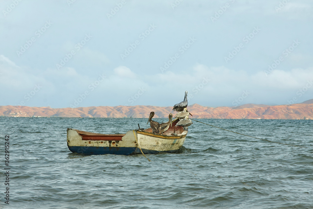 Boat with pelicans in the blue sea Boat with pelicans in the blue sea