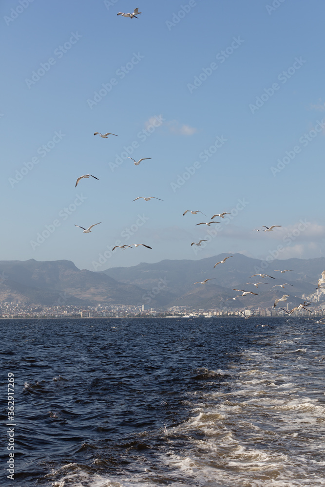 Scenic View of Seagulls above Sea Against Sky