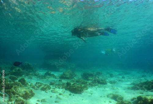  underwater coral reef caribbean sea snorkel