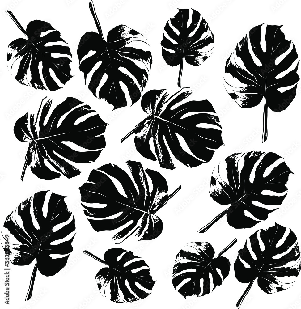 palm leaves pattern set black and white vector illustration palm leaves pattern set black and white vector illustration