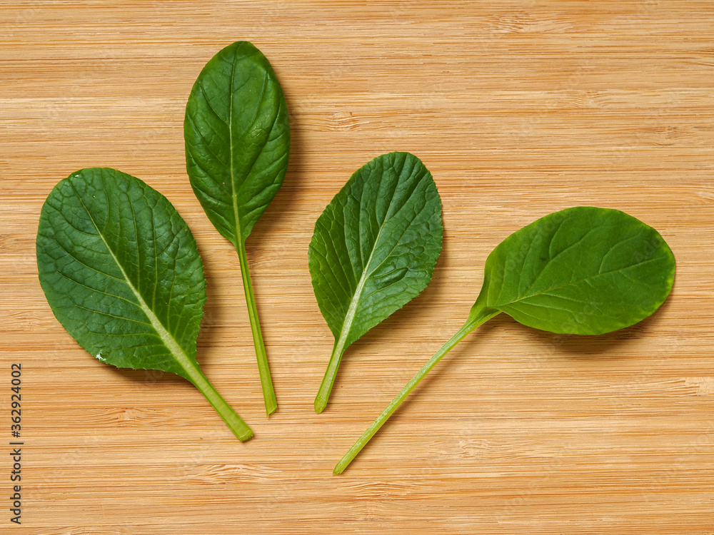 Four young green komatsuna Sharaku baby leaves laid on a wooden chopping board