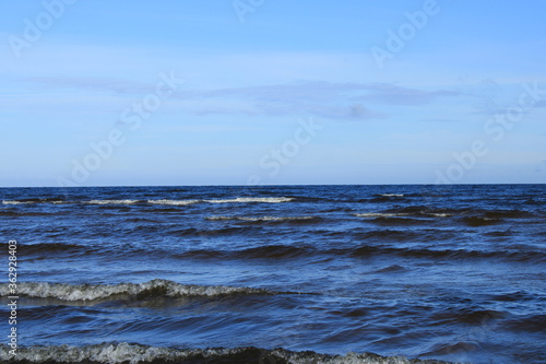 July morning on the shore of the Gulf of Riga