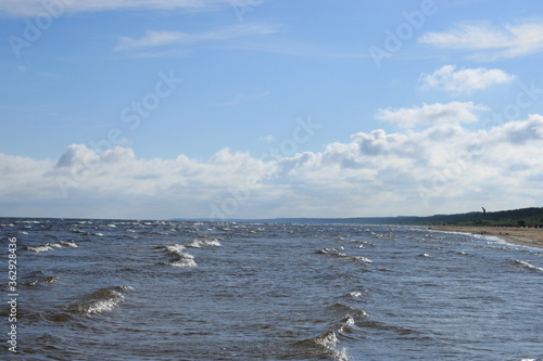 July morning on the shore of the Gulf of Riga © Dmitry