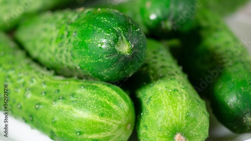 Green cucumber on white plate close-up with blur and shallow depth of field