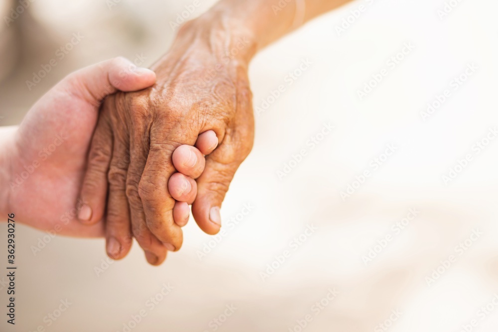 Fototapeta premium old man and young man holding hand together.