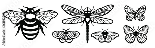 Laser cut template. Set of insects: butterfly, dragonfly and bee. Silhouettes flying insects icons. Collection of black butterflies isolated. Wood carving vector for wedding invitation, greeting card.