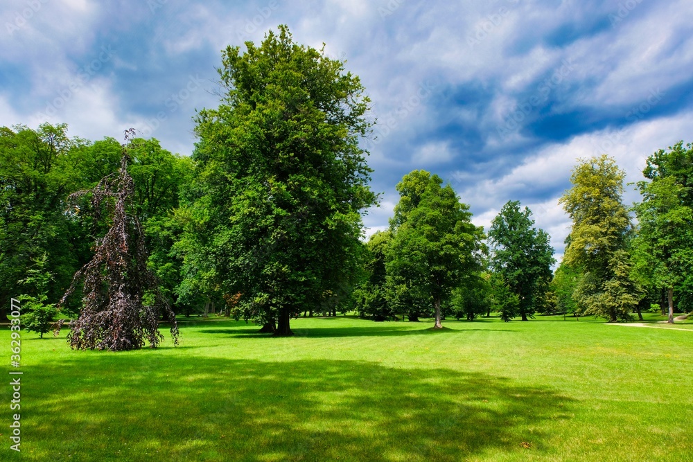 Beautifully green grass in a city park