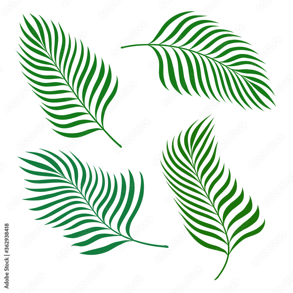 Set of banana palm leaves design elements on white, stock vector illustration