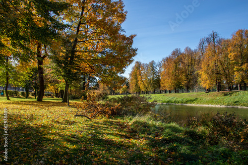 Jesień nad brzegiem rzeki, Olza, na granicy Cieszyna i Czeskiego Cieszyna