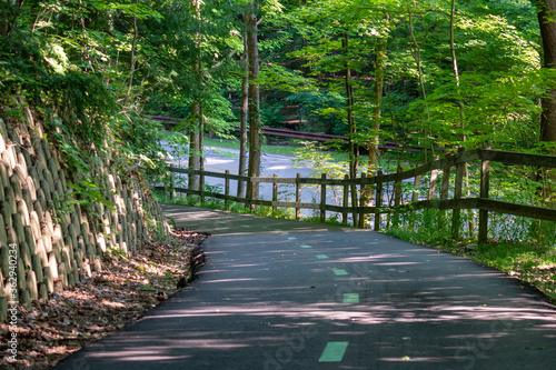 2020-07-07 South Rocky River Reservation Road and Path Through Woods Cleveland Metro Parks