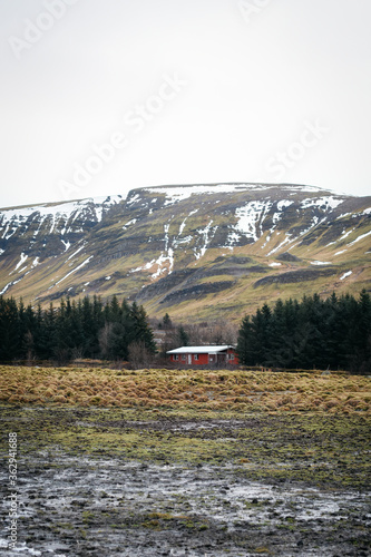 Wallpaper Mural Red house in Iceland Torontodigital.ca