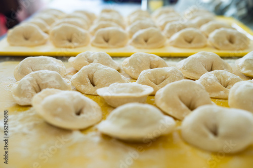 Homemade Dumplings lie on the baking tray in rows on a yellow cutting board