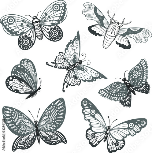Vector Black and White Butterfly Set