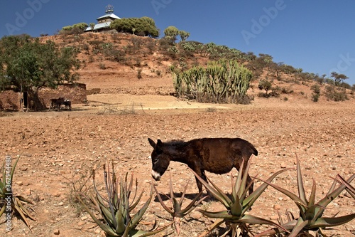 View of the church in Megab village. Tigray Region. Ethiopia. Africa. photo