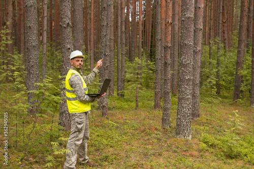 Forest engineer works in the forest on a computer. Forest taxation and afforestation.