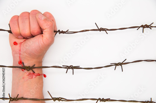 Man's hand shows gestures behind the barbed wire. White background. The concept of imprisonment, dictatorship.