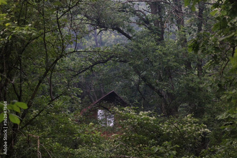 house in the woods