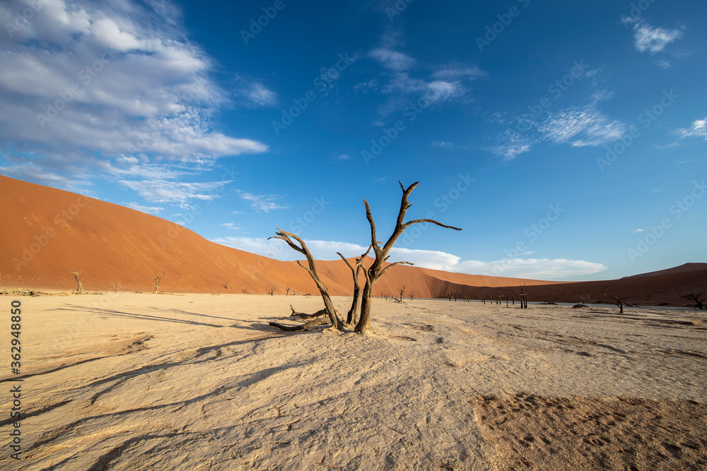 Sossusvlei is a salt and clay pan surrounded by high red dunes, located in the southern part of the Namib Desert, in the Namib-Naukluft National Park of Namibia. Sossusvlei is a salt and clay pan surrounded by high red dunes, located in the southern part of the Namib Desert, in the Namib-Naukluft National Park of Namibia.