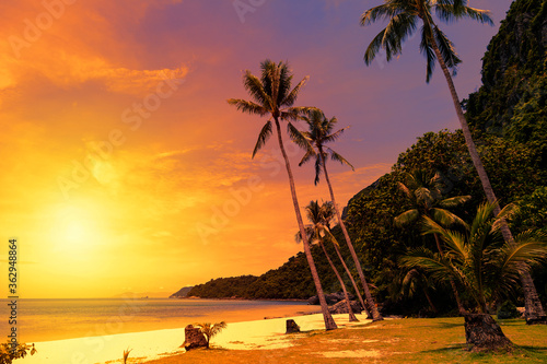 Fototapeta Naklejka Na Ścianę i Meble -  sunset on the beach with palms on the Angthong National Marine Park in Thailand