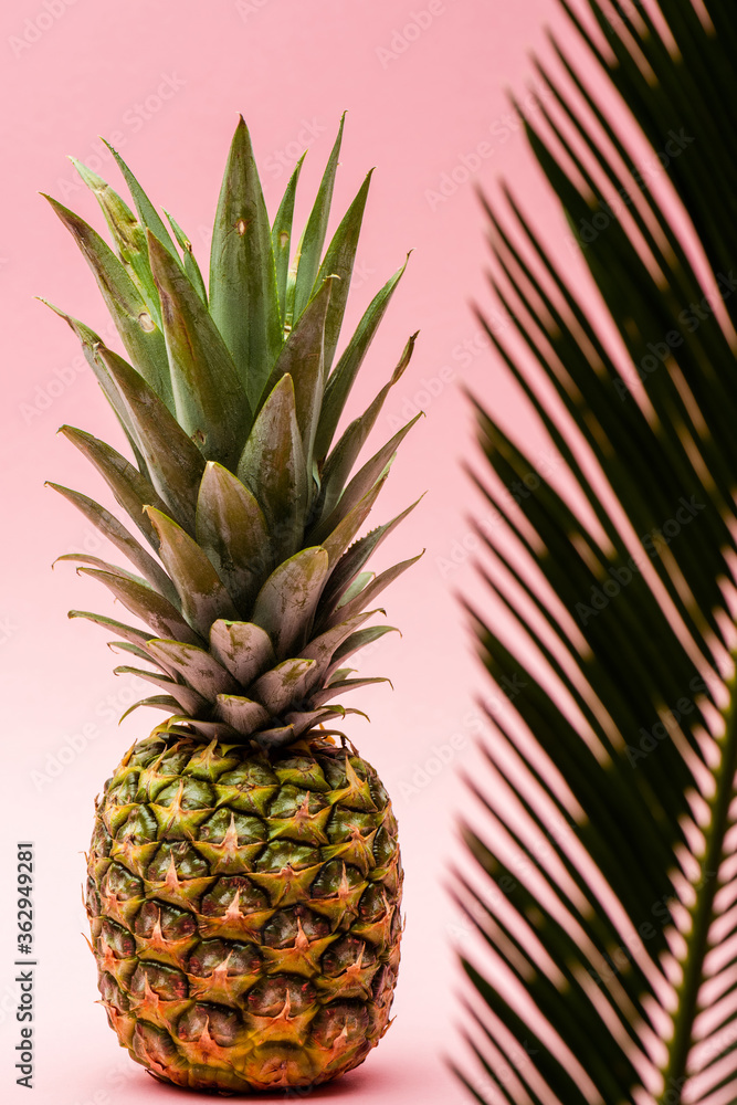 selective focus of green palm leaf and fresh pineapple on pink background selective focus of green palm leaf and fresh pineapple on pink background