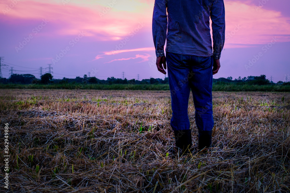 Fototapeta premium Rear view of farmer standing in farm, looking at sunset for farm activity, field preparation