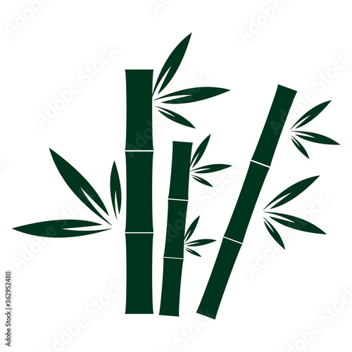 Fototapeta Naklejka Na Ścianę i Meble -  bamboo icon symbol illustration sign