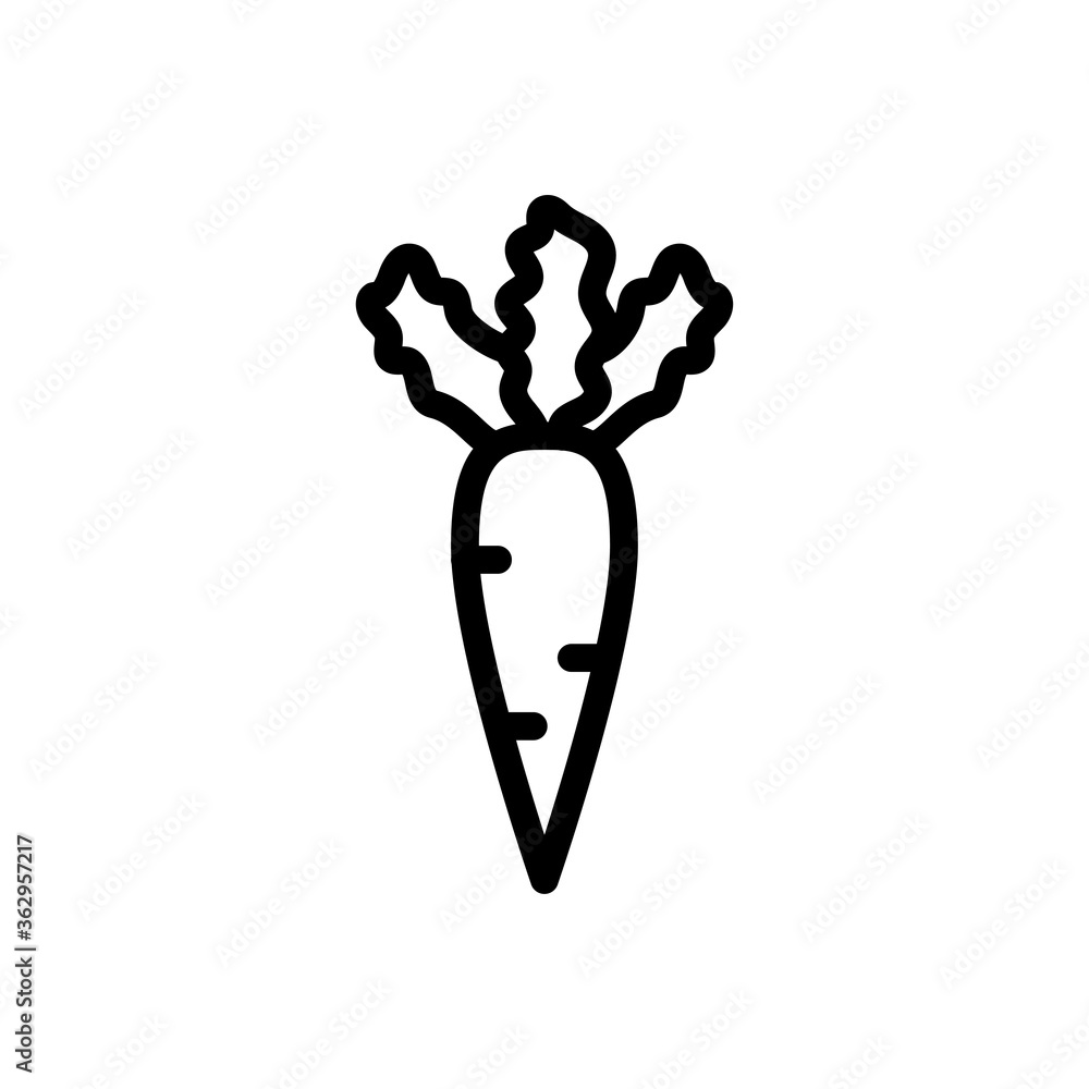 carrot carrot