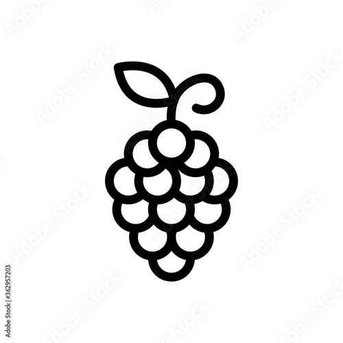 fruit