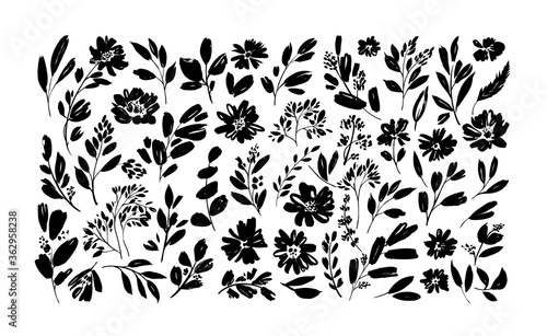 Spring flowers hand drawn vector set. Black brush flower silhouettes. Ink drawing wild plants, herbs or flowers, monochrome botanical illustration. Anemones, peonies, chrysanthemums isolated cliparts.