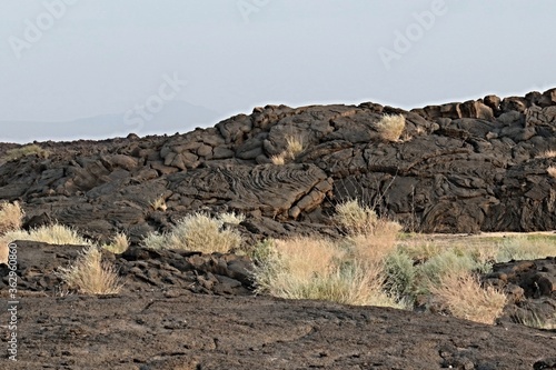 Solid lava from Erta Ale volcano. Affar depression. Ethiopia. Africa.