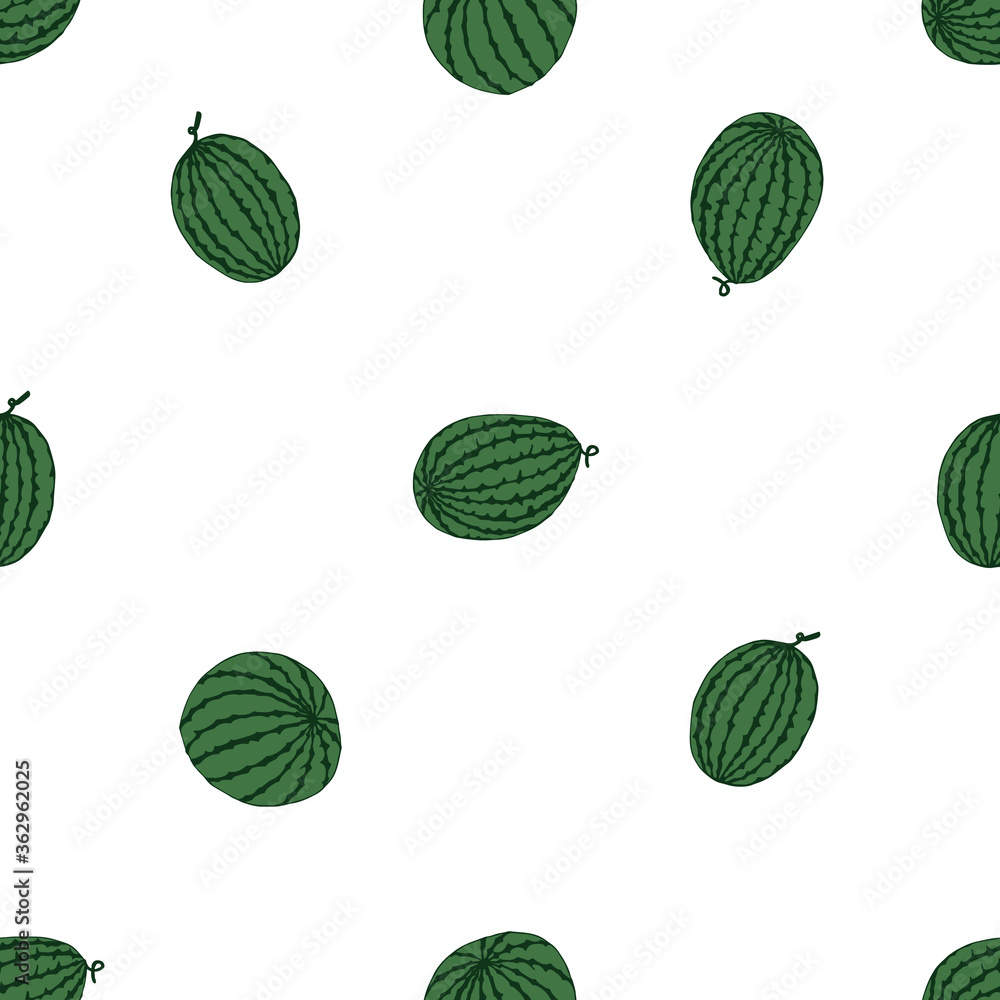 Xigua on white background. Hand drawn seamless pattern. Stock vector illustration. Xigua on white background. Hand drawn seamless pattern. Stock vector illustration.