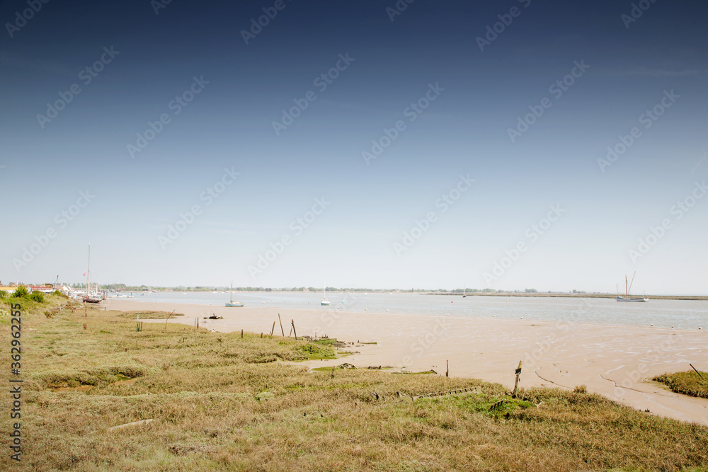 wetland in essex england