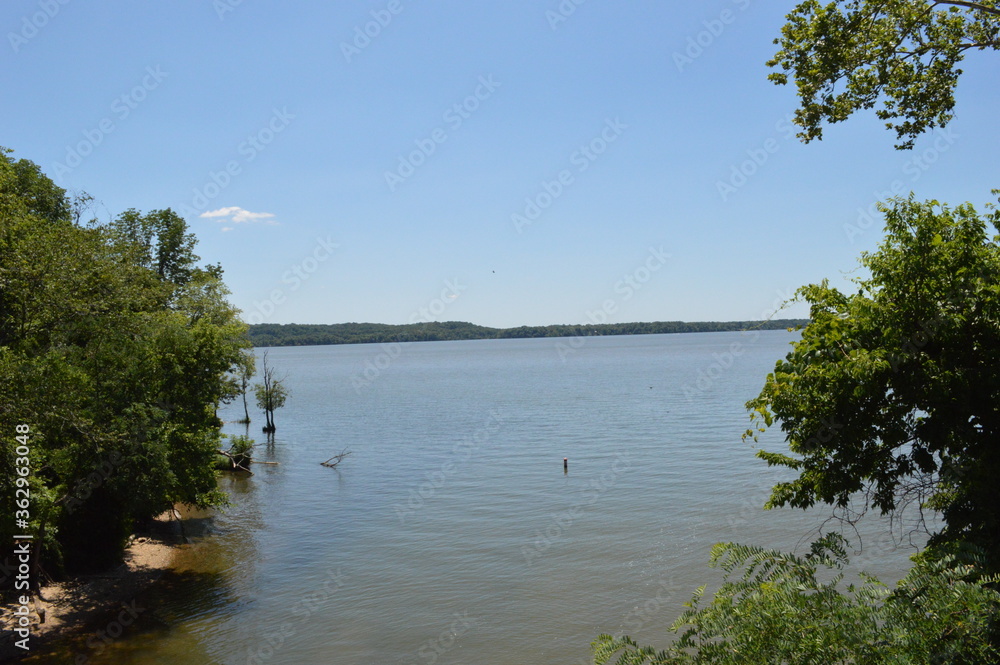 Naklejka premium lake and trees