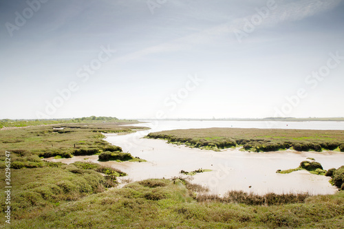 Wallpaper Mural wetland in essex england Torontodigital.ca