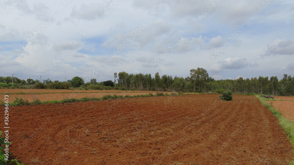 plowed field in the netherlands