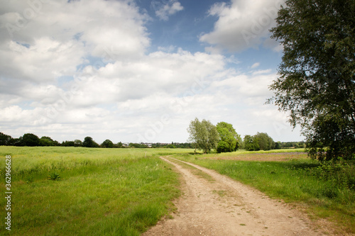 roadway along a farmer field