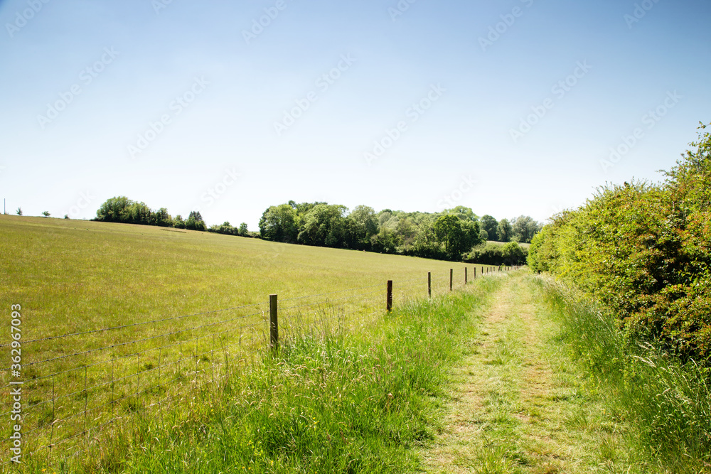walkway along a farmer field