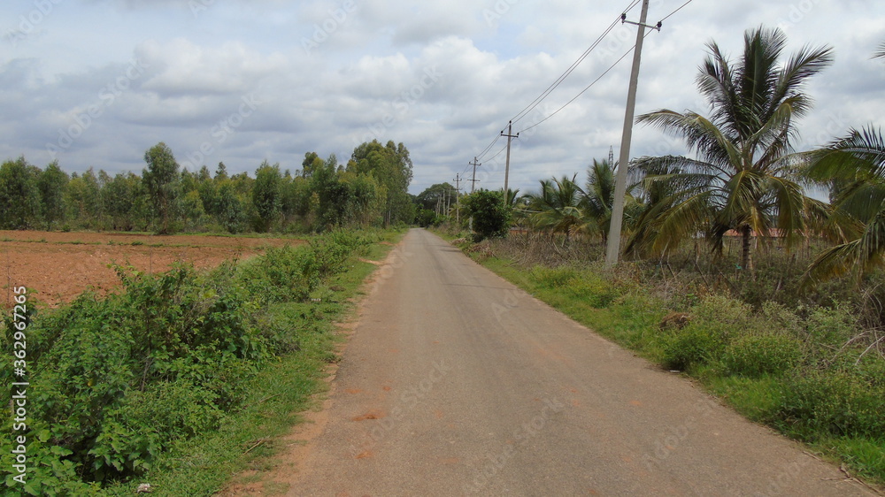 country road in the countryside