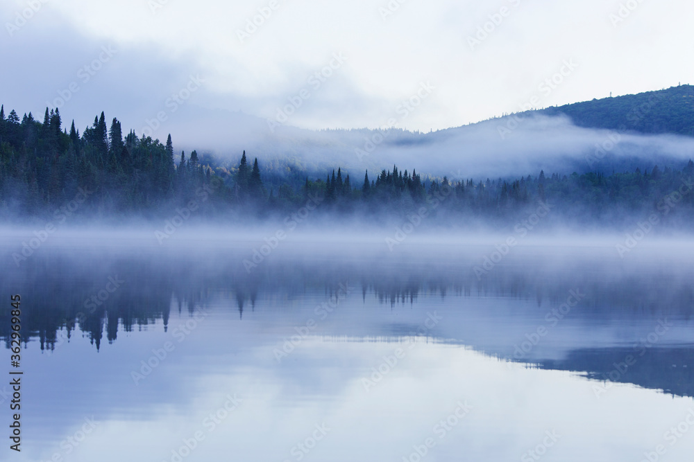 Summer morning in Mont-Tremblant national park Summer morning in Mont-Tremblant national park