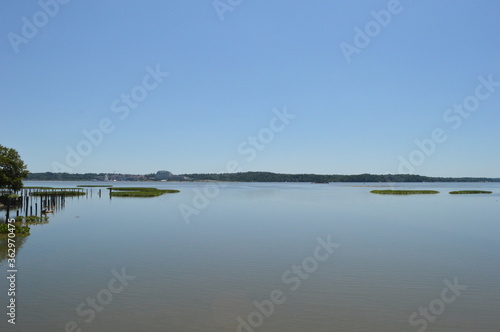 reflection of trees in water