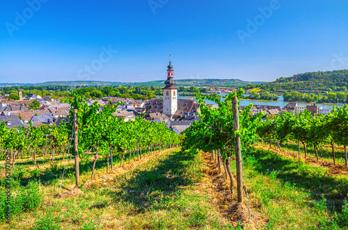 Aerial view of vineyards Rheingau wine region, Rudesheim am Rhein historical town centre with St. Jakobus church and Rhine river, blue sky background, Rhineland-Palatinate and Hesse states, Germany