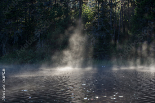Summer morning in Mont-Tremblant national park © Mircea Costina