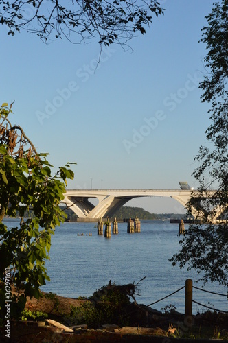 bridge over the river