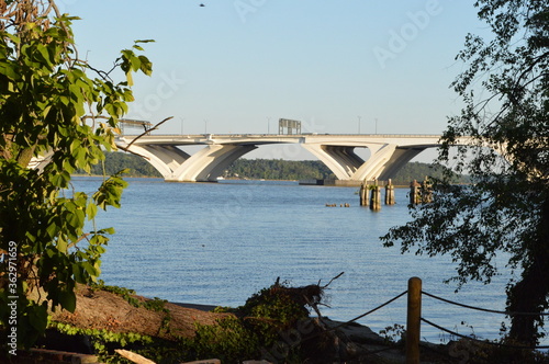 bridge over the river